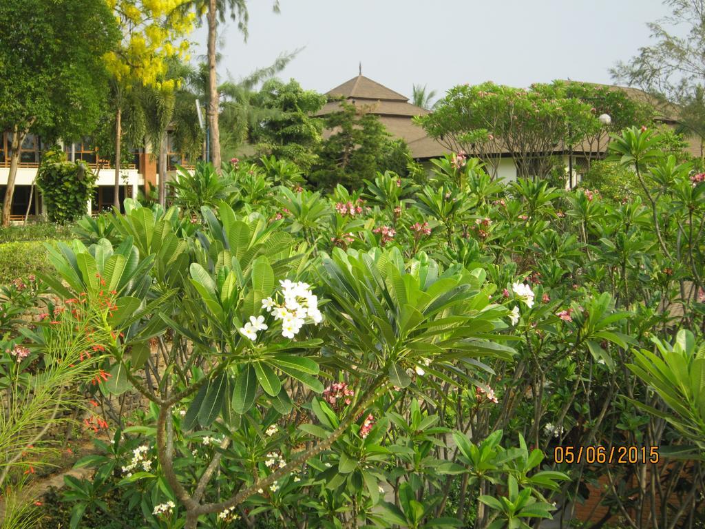 Aye Yar River View Resort Bagan Eksteriør bilde